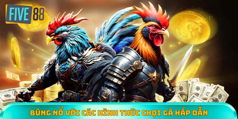 Bùng nổ trải nghiệm với các hình thức chọi gà hấp dẫn, độc đáo