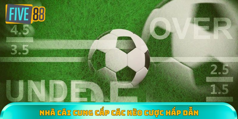 Các kèo cược hấp dẫn được cung cấp liên tục