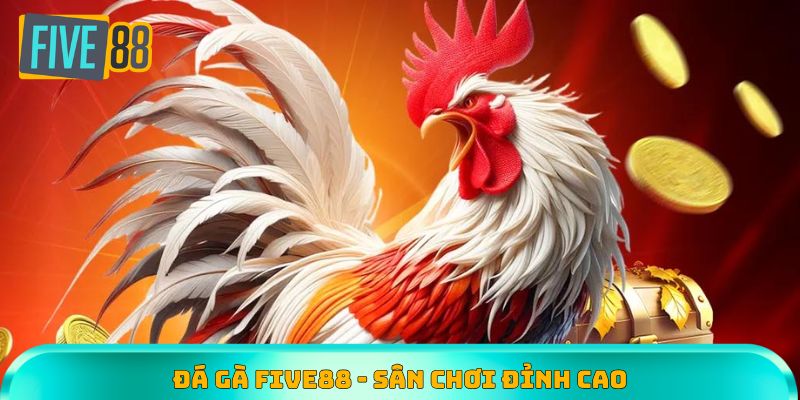 Đá gà Five88 - Sân chơi đỉnh cao, kịch tính và máu lửa
