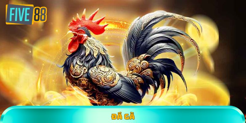 Đá gà Five88 cùng loạt khoảnh khắc ấn tượng