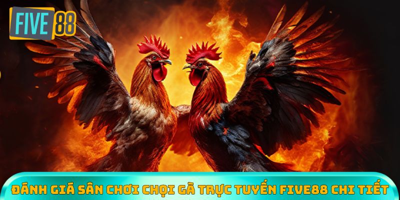 Đánh giá sân chơi chọi gà trực tuyến Five88 chi tiết