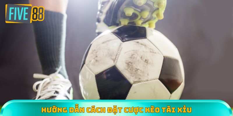 Hướng dẫn đặt cược
