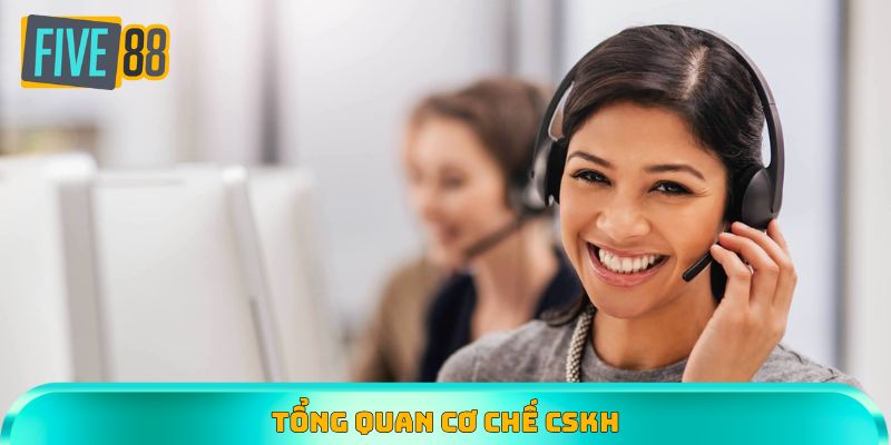 Thông tin số liệu tổng quan về cơ chế hỗ trợ người chơi của Five88